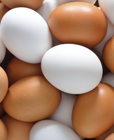 Eggs sold by Aspen Sales Group